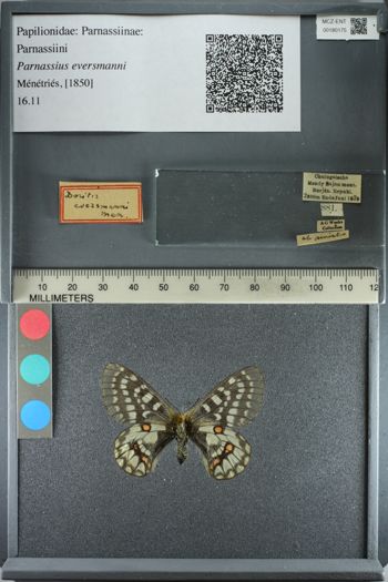 Media type: image;   Entomology 180175